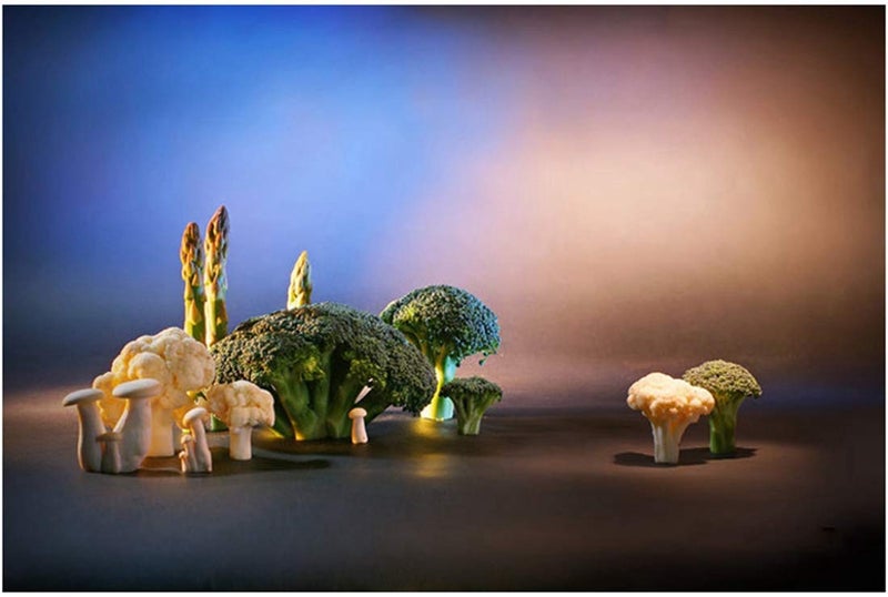 Meking 6pcs 16x20in Lighting Gels Filter with Wooden Clips for Gels, Transparent Color Correction Roll Film Plastic Sheet for Led Flash Strobe Light, 6 Colors - Image 2